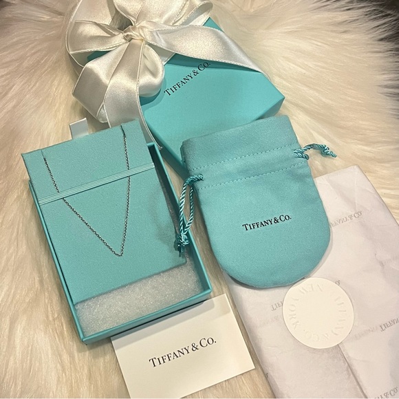 Tiffany & Co. Blue Box with Silver 925 Necklace - Picture 1 of 5
